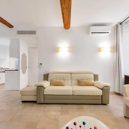 Appartement Le Meynadier Lumineux Dans Le Centre Historique, Proche Des Plages Et Palais Cannes
