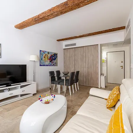 Le Meynadier Lumineux Dans Le Centre Historique, Proche Des Plages Et Palais Διαμέρισμα Κάννες